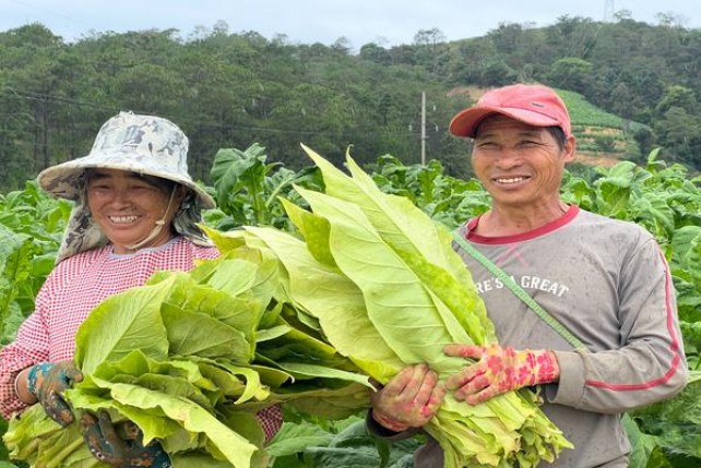 细探！黄山中国印云霄烟批发渠道的详细解析