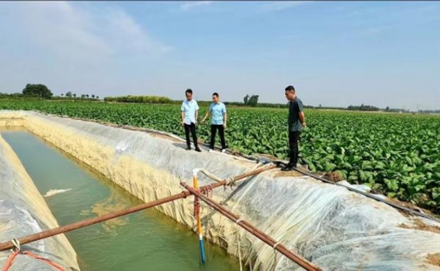 新消息！免税代理买烟“盛气凌人”