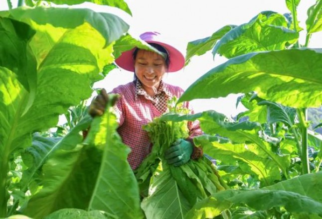 爱喜幻变俄罗斯版价格表和图片爱喜幻变俄罗斯版价格查询 