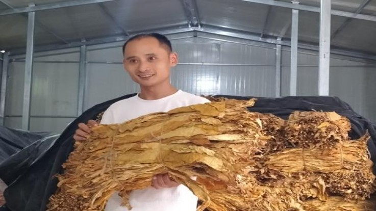 惊现！广西越南细支私香烟一手货源“一泻千里”