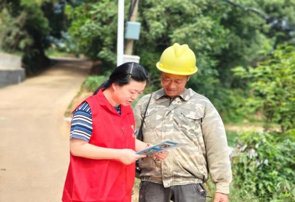 阿里山印象蜂王浆爆珠批发价格是多少？阿里山印象蜂王浆爆珠价格查询 