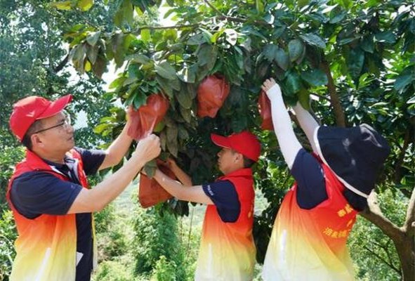 南京(新版)批发，南京(新版)价格表图一览表