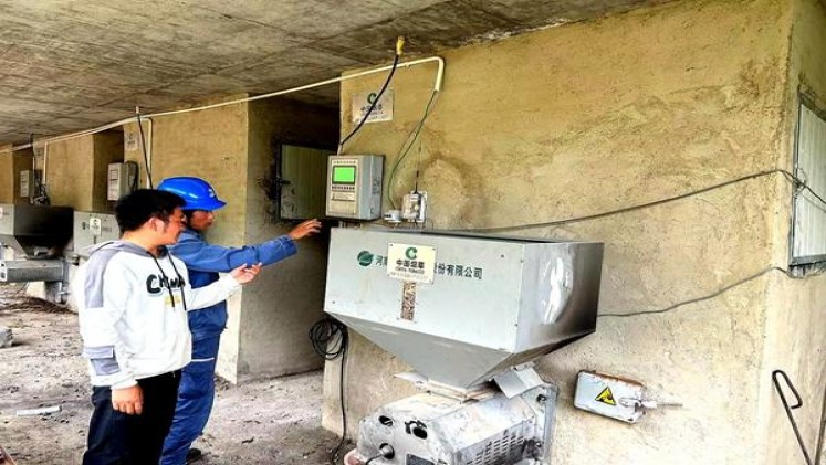 红塔山(经典150出口版)拿货价格，红塔山(经典150出口版)价格表一览