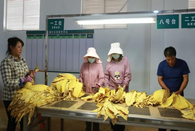 龙凤呈祥硬世纪朝天门价钱批发 龙凤呈祥硬世纪朝天门多少钱一盒2024？