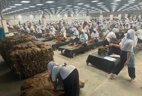 红双喜(南国莞香)一手价格，红双喜(南国莞香)多少钱一包2024？