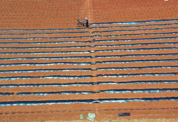 梅比乌斯E-SERIES 6mg超细长杆日版多少钱一包？梅比乌斯E-SERIES 6mg超细长杆日版多少钱一包？