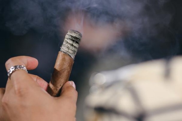 新消息！靠谱一手货源网址“发财致富”