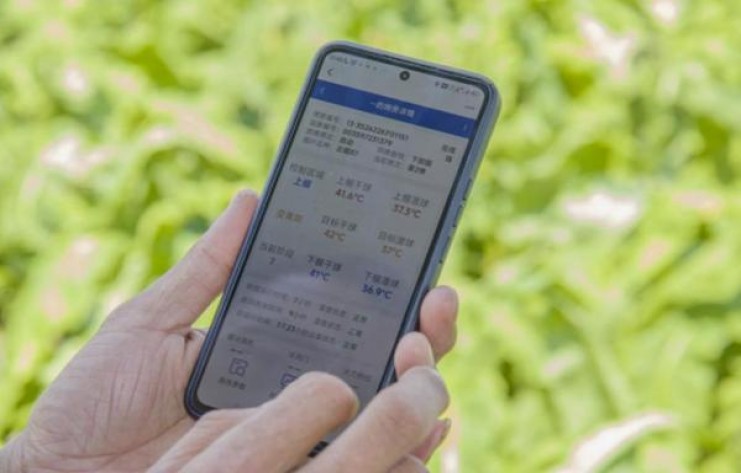 热点讨论！raison在哪里可以买到“龙跃凤鸣”