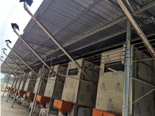 头条！香烟厂家直销批发一手货源“谨言慎行”