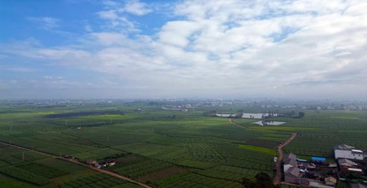 重点通报！万宝路香烟在国内哪里买到“殊途同归”