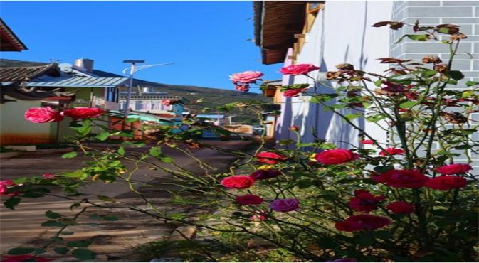 终于发现！哪个网站卖的免税香烟是正品“大吉大利”