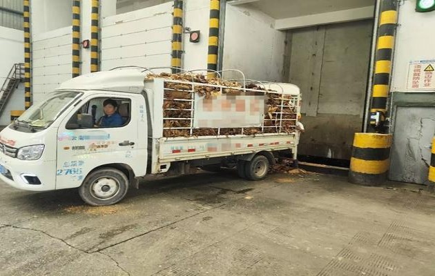 探索！丹纳曼茉丝单滤嘴香烟的批发奥秘