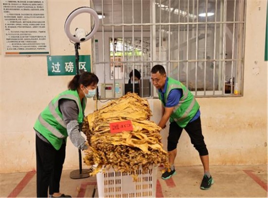 重大新闻！哪个网可以送烟“蕙心纨质”