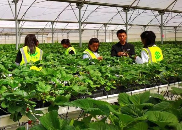 破天荒！低价精仿香烟批发诚招代理“春色满圆”