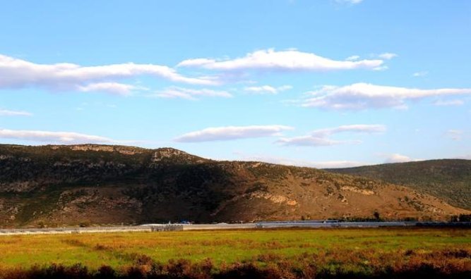 来袭！绿摩尔香烟官网“兵不血刃”