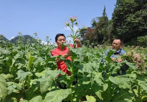 独家报道！大量一手货源批发价“沁人心脾”