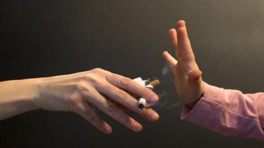 细探！娇子红芙蓉云霄烟批发渠道的详细解析