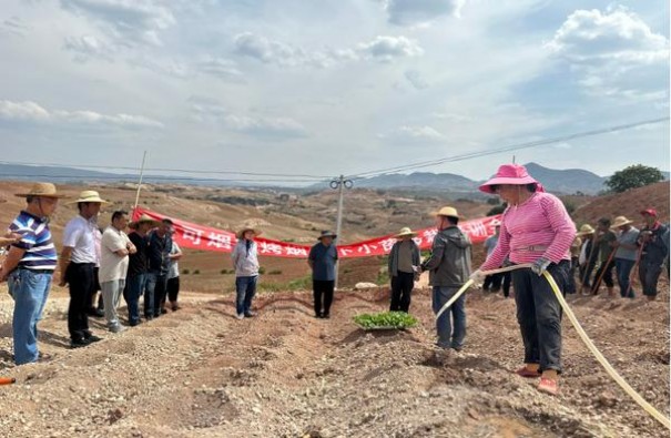 重大来袭！2023贵烟跨越多少钱一包“合家欢乐”