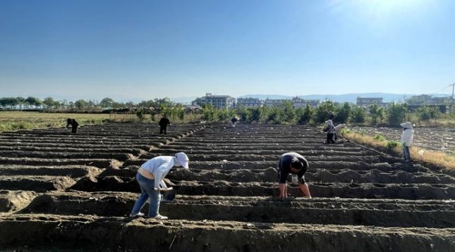 黄山大湖名城价格查询 黄山大湖名城价格查询 