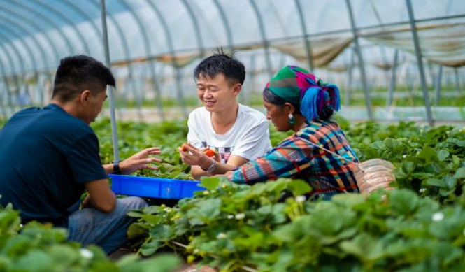 今日公布！20元大重九烟“花开富贵”