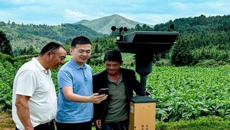 骆驼硬黄多少钱一盒2024？骆驼硬黄多少钱一包2024？