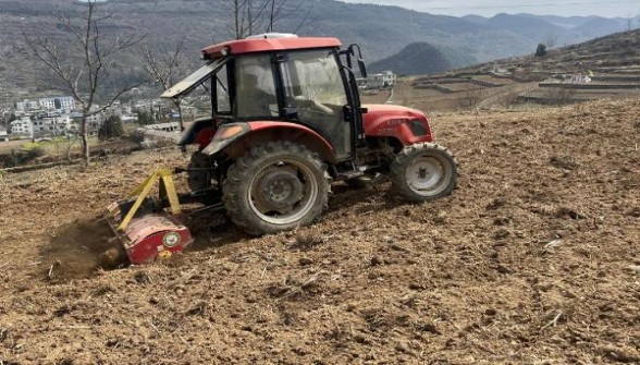 利群(阳光青中支)一手货源，利群(阳光青中支)多少钱一包2024？