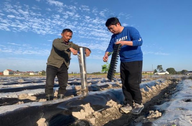 黄鹤楼梦之韵8号价格表和图片黄鹤楼梦之韵8号价格查询 