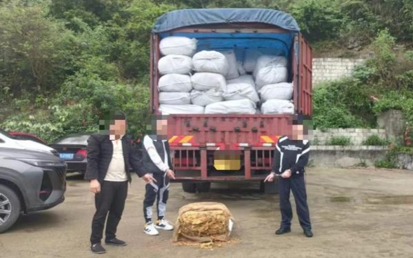 泰山金东方价格表一览 泰山金东方多少钱一盒？