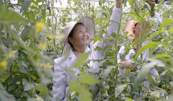 梅比乌斯LIGHTS细支8mg价格表和图片梅比乌斯LIGHTS细支8mg多少钱一包2024？