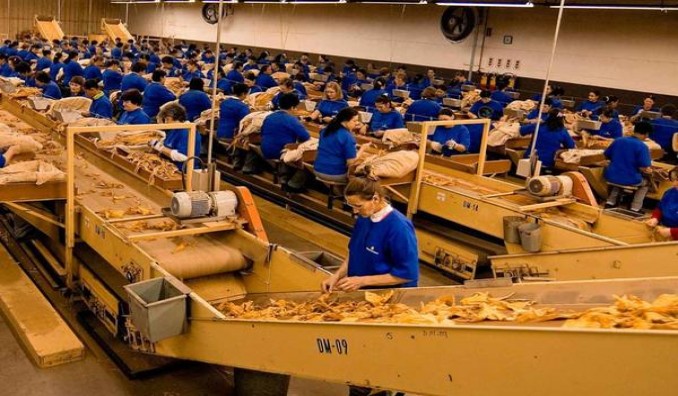 红塔山经典二代香烟价格表2024 红塔山经典二代价钱批发 