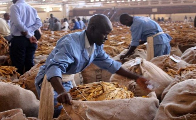 娇子(宽窄清甜香)厂家价格，娇子(宽窄清甜香)价格表一览