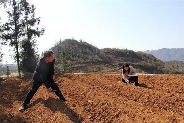 梦都(风)一手渠道，梦都(风)多少钱一盒2024？