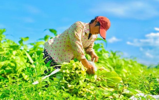 破天荒！一手香烟照片真实“危机四伏”