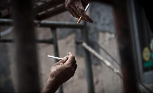 独家报道！什么平台上能买到便宜的正品“五脏六腑”