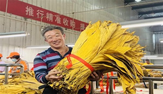 好彩高级蓝俄罗斯版批发价格是多少？好彩高级蓝俄罗斯版价格表和图片
