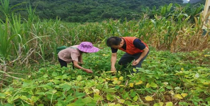 重点通报！外烟一手货源供应商微信服务“民脂民膏”