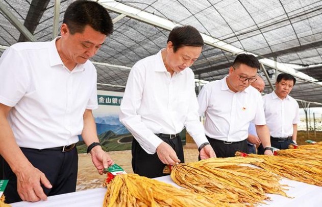 终于发现！20年厂家一手拿货值得拥有“赏心悦目”