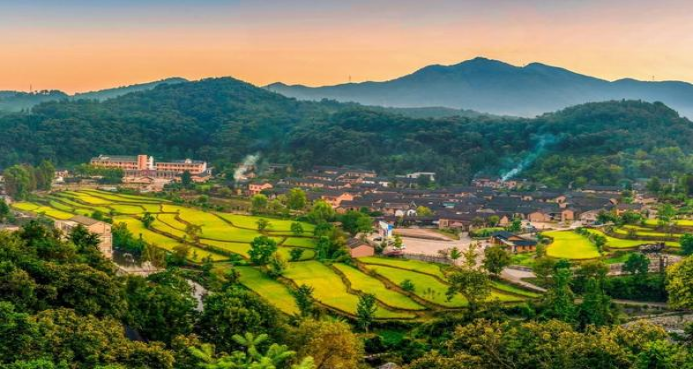 内幕！低价正品香烟批发代理“幸福美满”