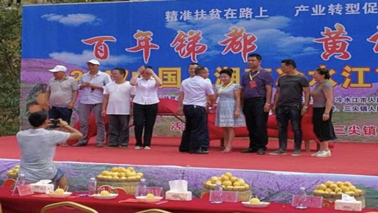 重点通报！福建订烟平台“中流砥柱”