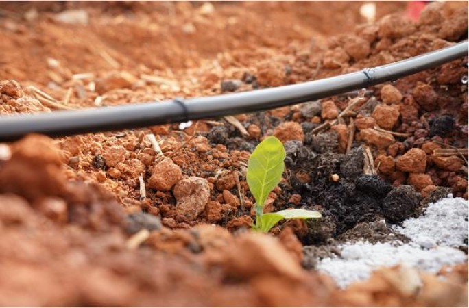 DJMix绿苹果爆珠日免版香烟价格表2024 DJMix绿苹果爆珠日免版价格表和图片