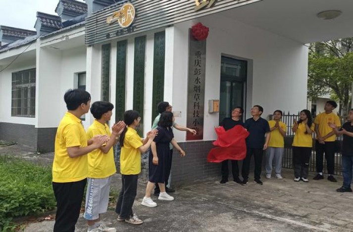 龙凤呈祥新喜庆多少钱一盒？龙凤呈祥新喜庆价格查询 