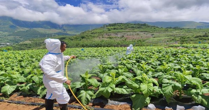 深入解析！黄鹤楼硬满天星云霄烟的进货秘密