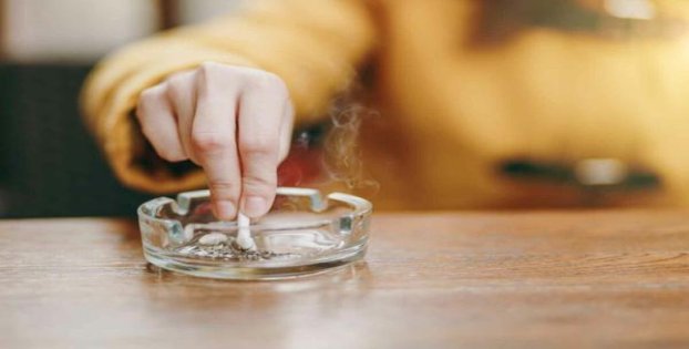 阿里山软天韵多少钱一盒？阿里山软天韵价钱批发 