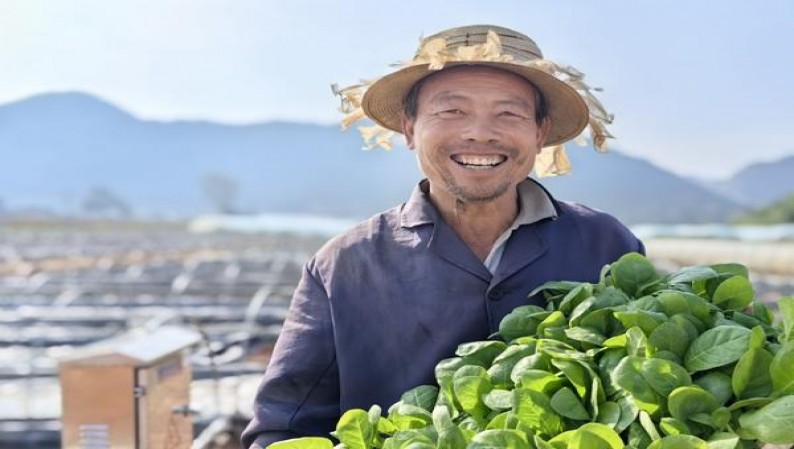 惊现！DJ烟系列全部图片大全“大公无私”