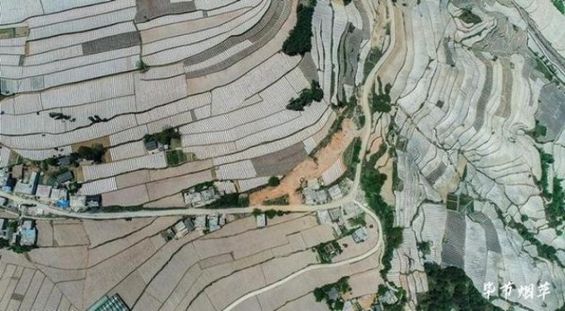 黄鹤楼软喜上眉梢价钱批发 黄鹤楼软喜上眉梢价钱批发 