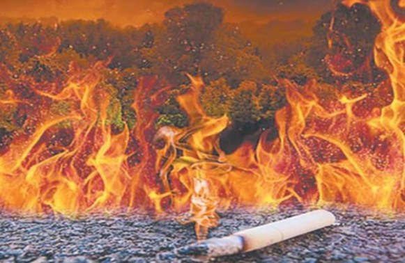 揭秘！红旗渠软红 横装云霄烟批发真相