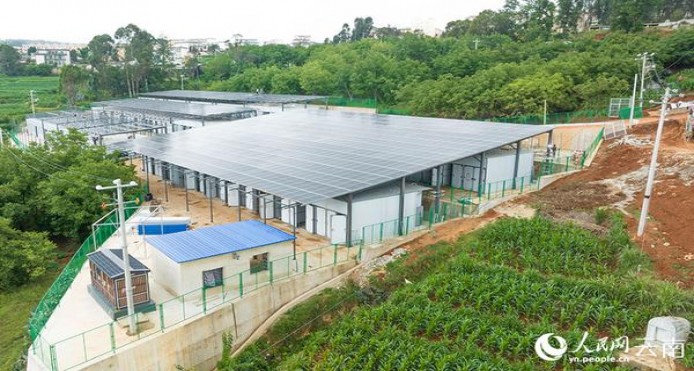 细探！玉溪细支清香世家香烟的市场行情