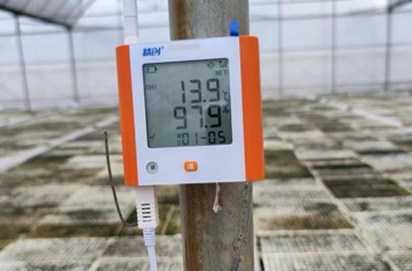 三峡(WX20)总仓批发，三峡(WX20)多少钱一盒？
