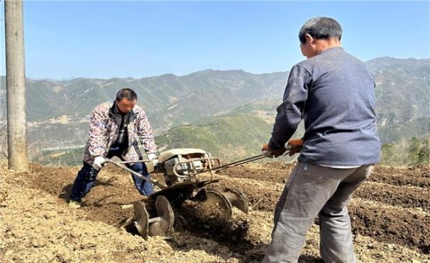 万宝路软红意大利含税版价格表和图片万宝路软红意大利含税版价格表一览 
