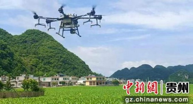 最新头条！云霄香烟一手货源厂家直批价格多少“宁缺毋滥”